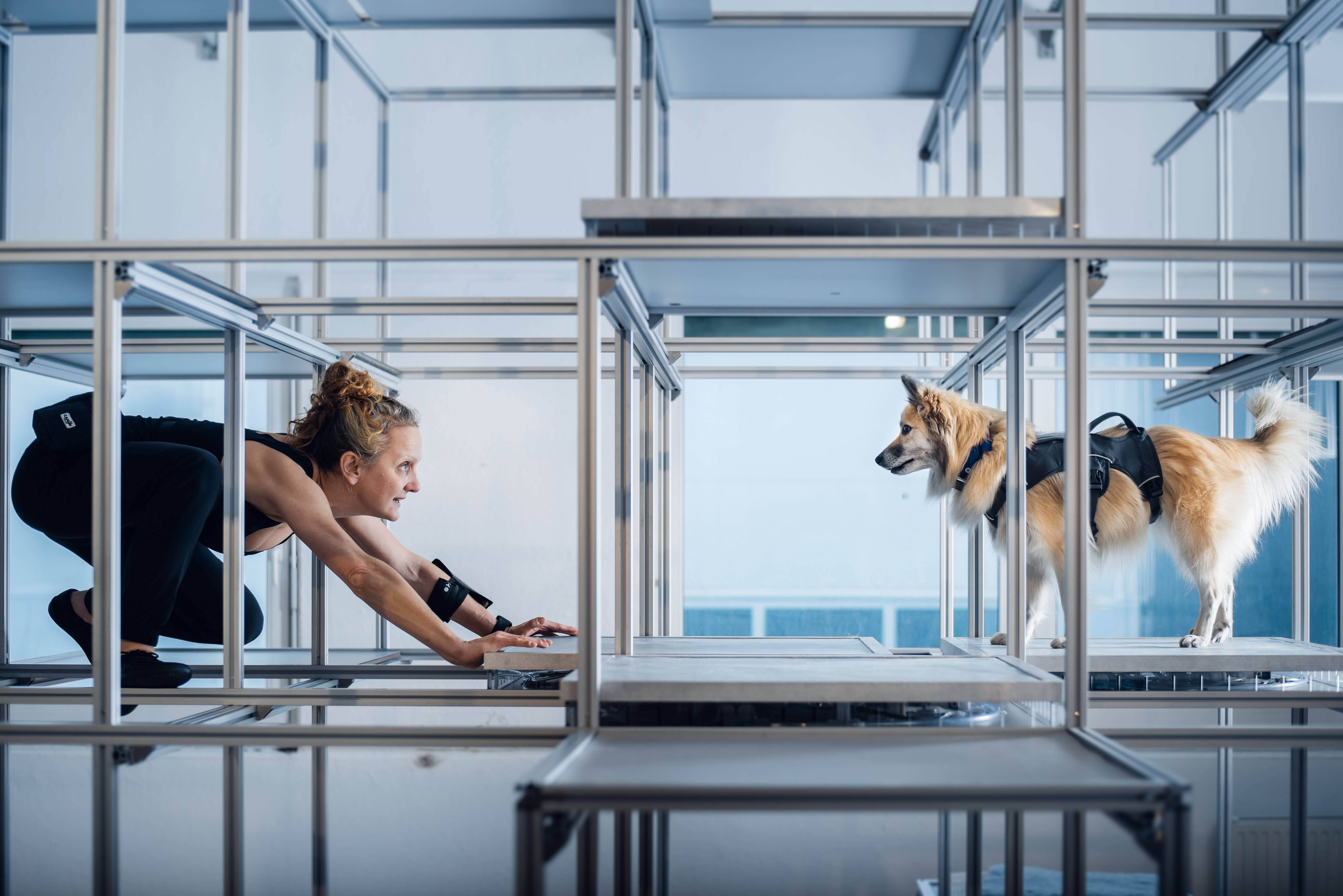 !brute_force_Sodt_Resillience@Hana_Jošić-1